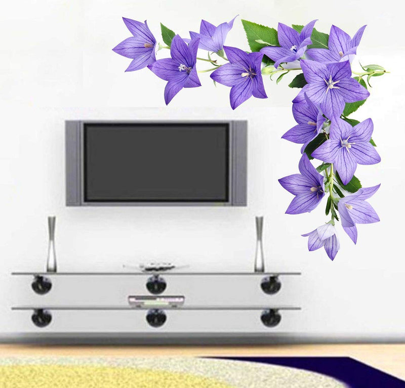 Tuffuk Flowers Large Vinyl Wallstickers for Home Decorations (60 cm x 70 cm)5TZ323