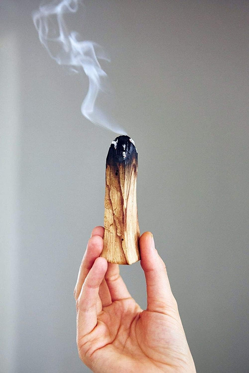 BAKA Palo Santo Smudging Sticks, High Resin Palo Santo, Holy Wood Certified Authentic, Wild Harvested Incense Stick for Purifying, Cleansing, Healing, Meditation and Stress Relief (Pack of 2)