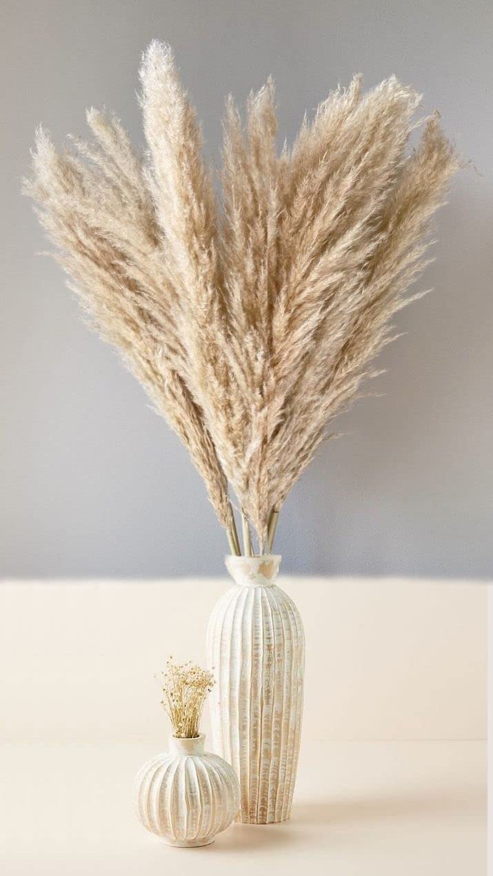 Vanchai Grey Pampas Grass, Large Light Coloured, Dry Reeds plumes, 25 stems