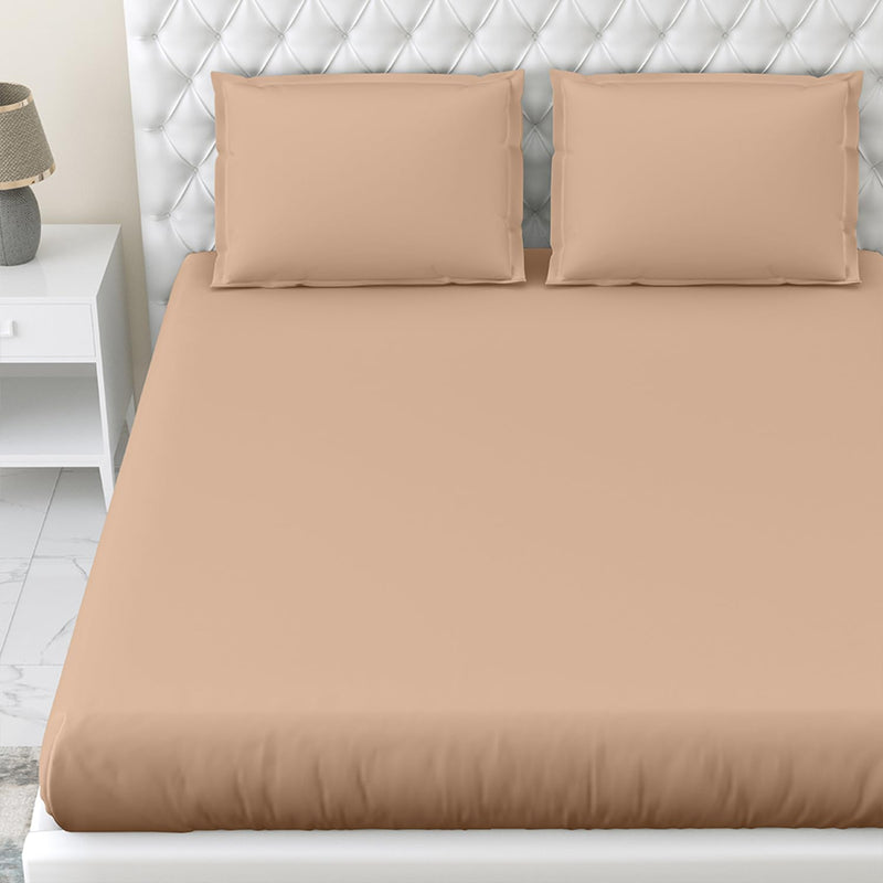 haus & kinder 100% Cotton Elastic Fitted Bedsheet King Size For Double Bed | 300Tc 1 Elastic Bedsheet King Size Cotton & 2 Pillow Covers (78 X 72 Inches + 13 Deep Pocket) | Apricot, 300 tc