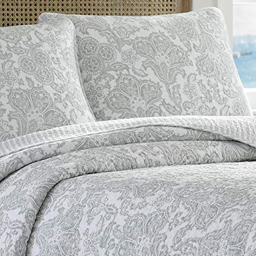 Tommy Bahama Island Memory Collection Quilt Set 100% Cotton, Reversible & Lightweight, Prewashed for Added Softness, King, Pelican Gray