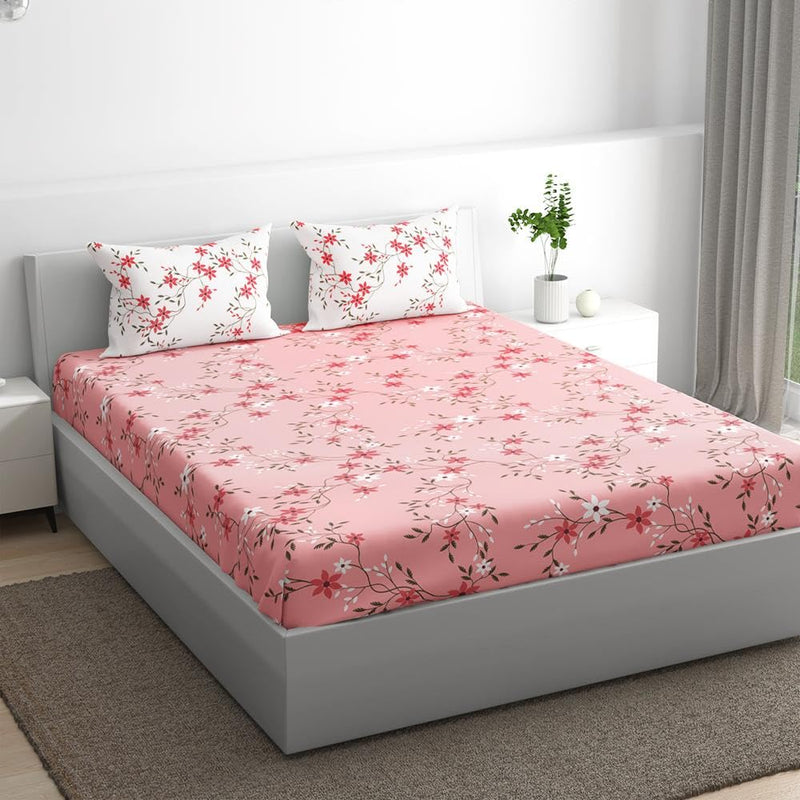 100% Cotton 152 TC Fitted Bedsheet with 2 Pillow Covers | Sakura King, 75" x 72", Sakura| 1.91m x 1.83m