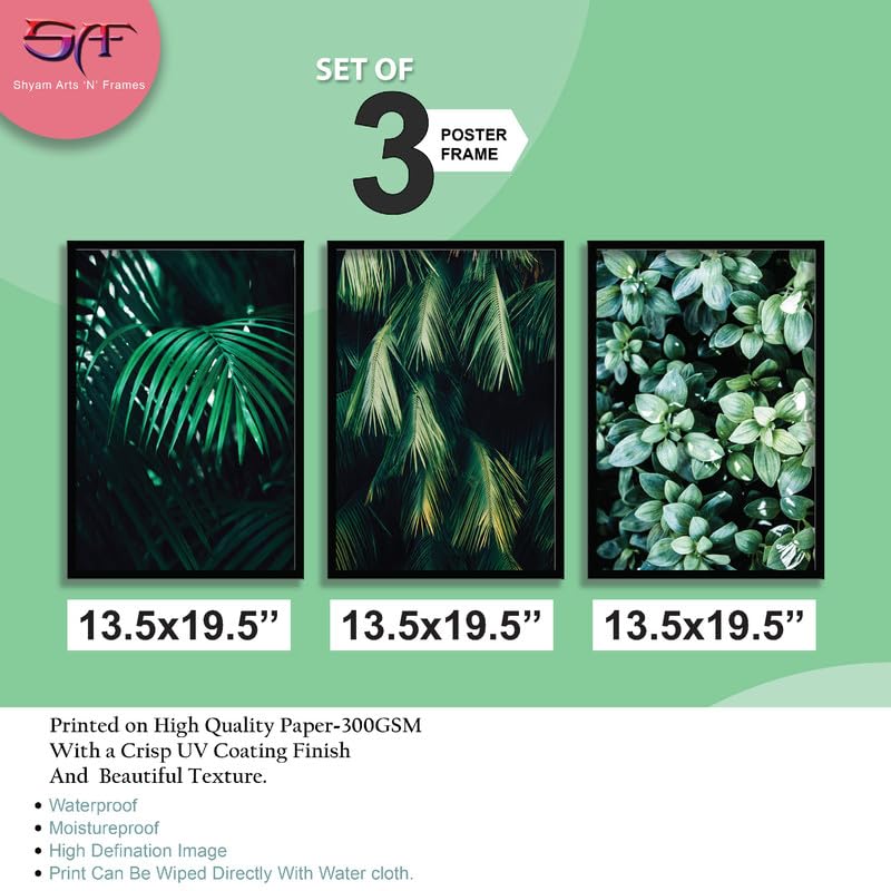 SAF paintings Set of 3 Tropical Leaves Wall Painting for Home DecorationSA-BLACKMX33504