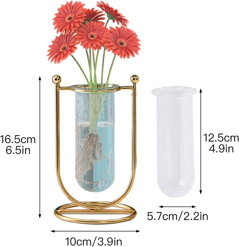 Desktop Glass Planter Hydroponics Vase Glass Propagation Station With Modern Creative Geometric Metal Frame Test Tube Vase For Home Office Decor Table Top (Set Of 2), Blue