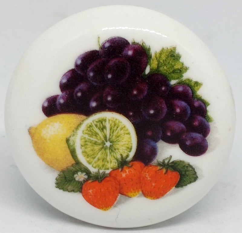 Temple Trees Fruits Assorted - Set of 5 Fridge Magnets