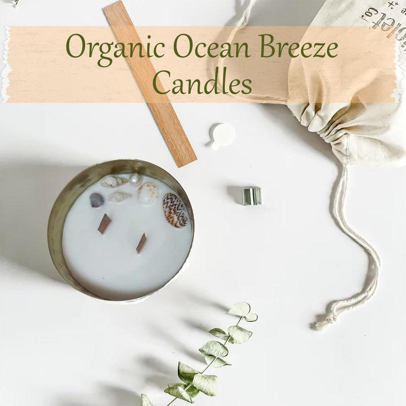 The CANDLE NEST 4-inch Scented Candle Organic Ocean Breeze Aroma Candle for Home Decoration Best Gift Celebration Eco-Friendly Scented Candle Reusable Metal Jar Pack of 1