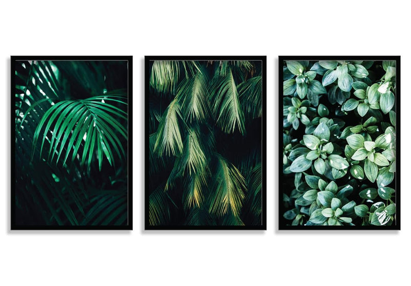 SAF paintings Set of 3 Tropical Leaves Wall Painting for Home DecorationSA-BLACKMX33504