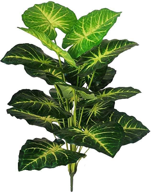 BAARIG Natural Looking Big Money Plant Tree with 18 Long Leaves without Pot (Green & Yellow)