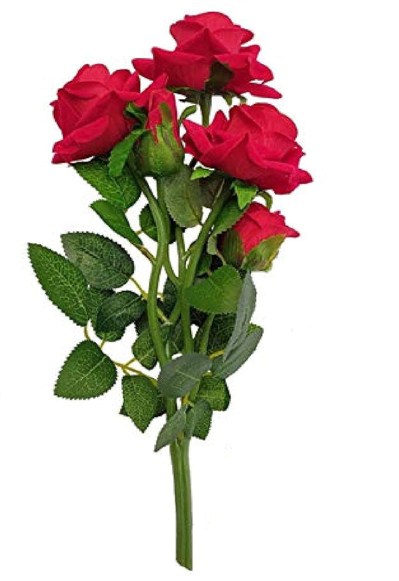 Daissy Raise ) Artificial Flowers (5 Stick Rose) RED Colour with White Plastic Pot for Table Decoration and Gift Purposes (Pack of 2)