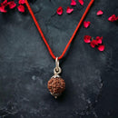 7 Mukhi Nepali Rudraksha