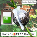 Rooting Balls  Pack of 5 with Pot Mix Combo