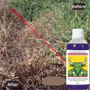 High-Concentration Glufosinate Herbicide All Crops,Organic (Pack of 3)