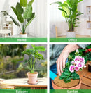 Natural Coconut Coir Mats (Pack of 6pc)