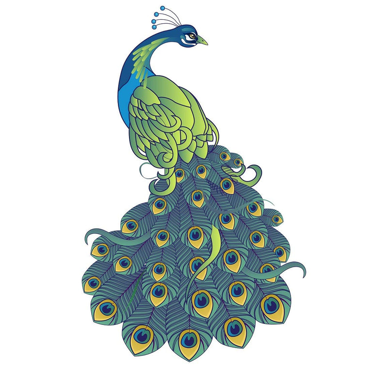 Tuffuk Beautifull Peacock Large Vinyl Wallstickers for Home Decorations(50 cm x 80 cm)5TZ279