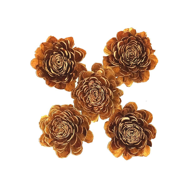 CRAFTWAFT Handmade Natural Brown Daliha Flower for Craft & Decorations 2.5 Inch Diameter Dry Flower (100)