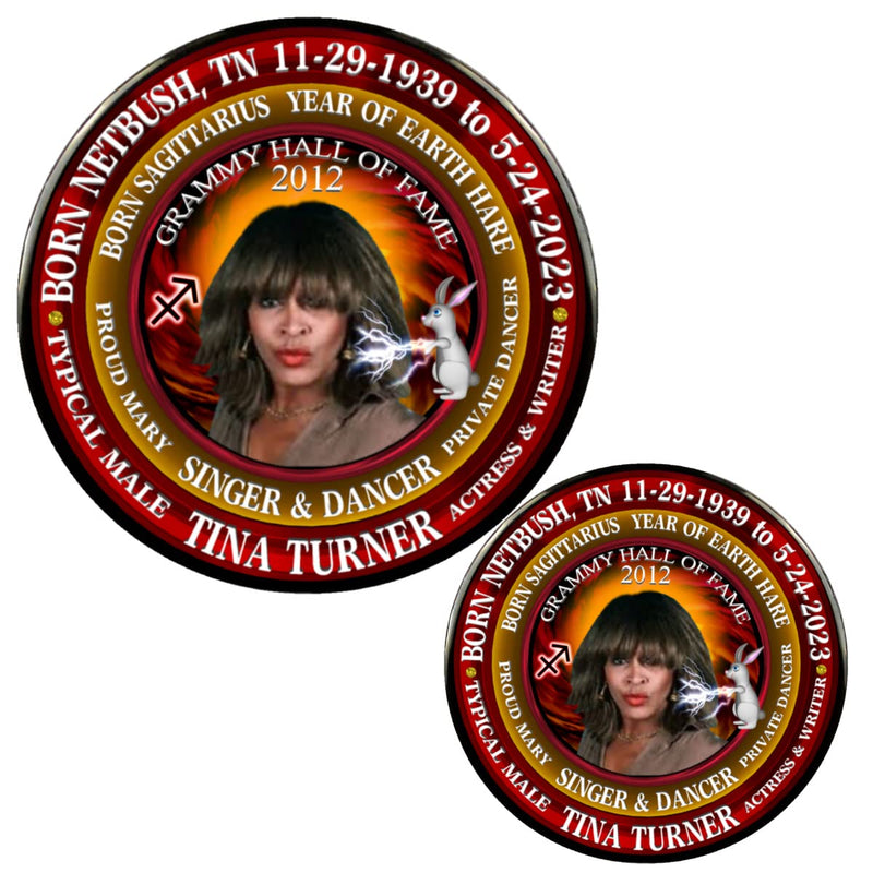 ValxArt Tina Turner Singer 3" Magnet + 2.25" Pin, Astrology Sagittarius Zodiac Earth Rabbit