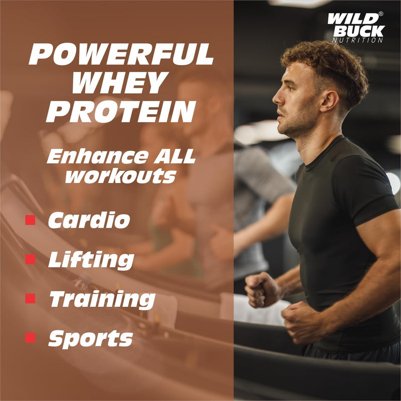 WILD BUCK Whey Protein Concentrate 100%,24G High Protein,5.43G Bcaa,11.53G Eaa & Added Digestive Enzymes|Muscle-Building Whey Protein Powder|Recovery & Muscle Growth|For Men & Women [1Kg,Rabdi Kulfi]