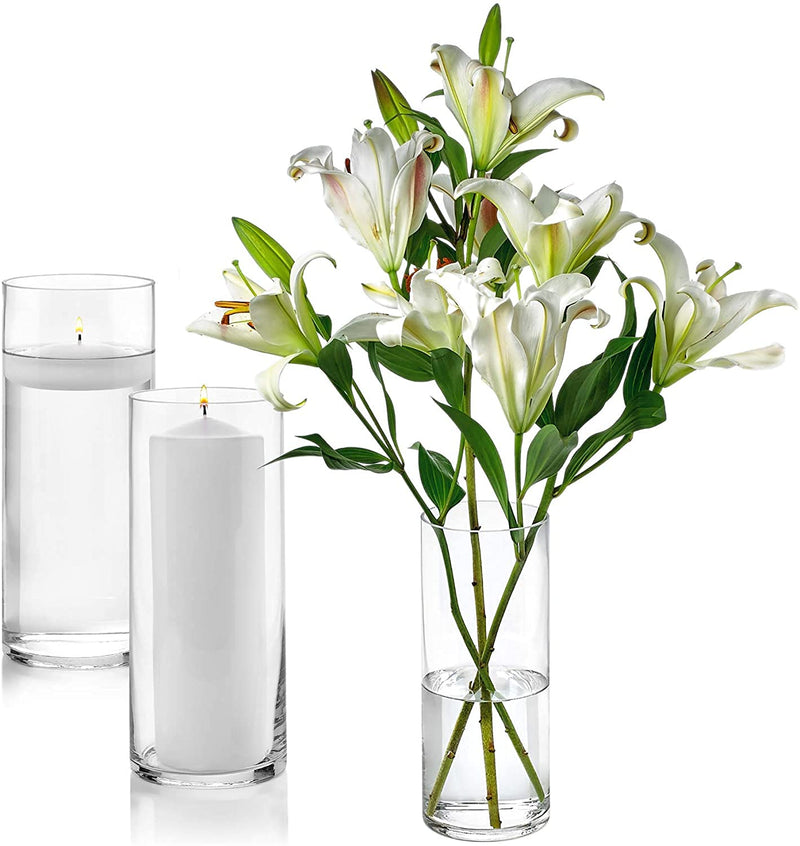 BS AMOR Clear Glass Cylinder Vase (H:10" D:3") | Glass Flower Vase Centerpieces | Hurricane Floating Candle Holder Vase 10" Height