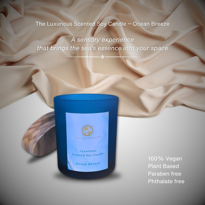 Sylvan Secrets Luxurious Scented Soy Candle Ocean Breeze | Pure & Natural Oil & Fragrance | Invigorating Ocean Breeze Aroma 180 gm