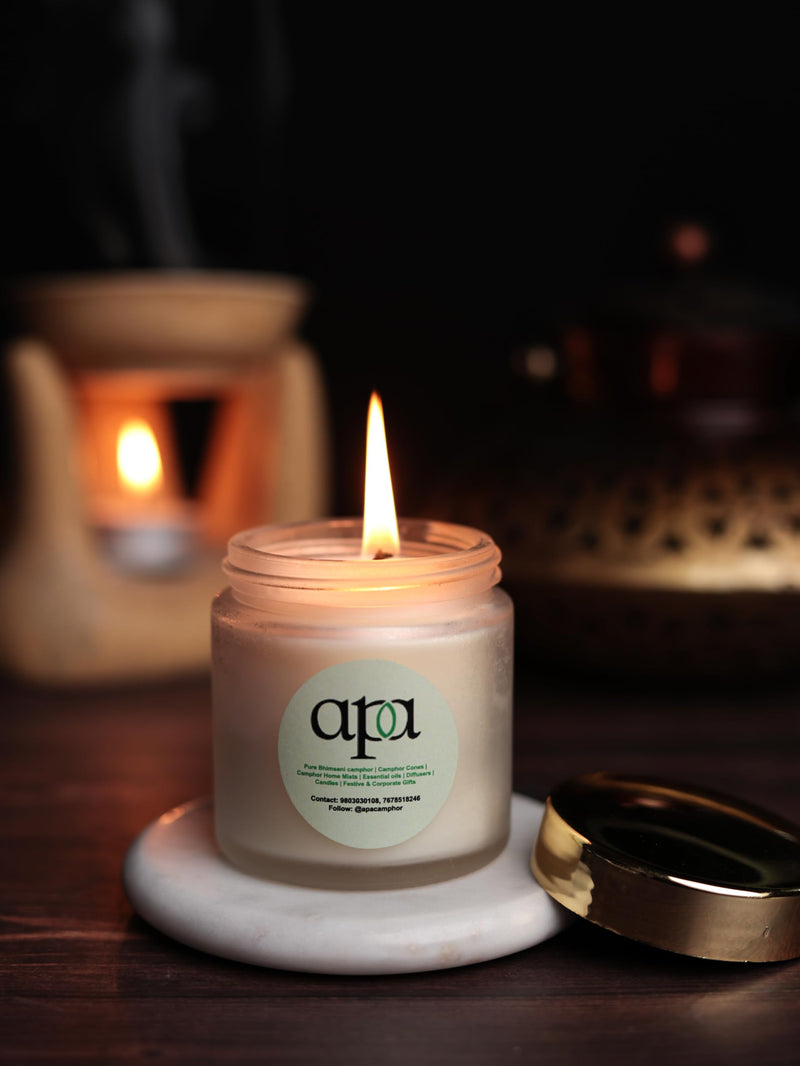 APA Camphor Scented Candle | Jar Candles | Candle for Helping Relaxing Mind | Soy Wax | Camphor/Kapur Fragrance for Car, Room, Bathroom | Paraben Free (250g*Pack of 2)