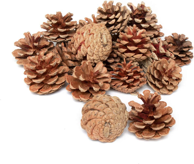 APSAMBR 12 Pcs Christmas Decoration Wooden Pine Cones Hanging Ornaments Bauble Xmas New Year Festival Party Decoration