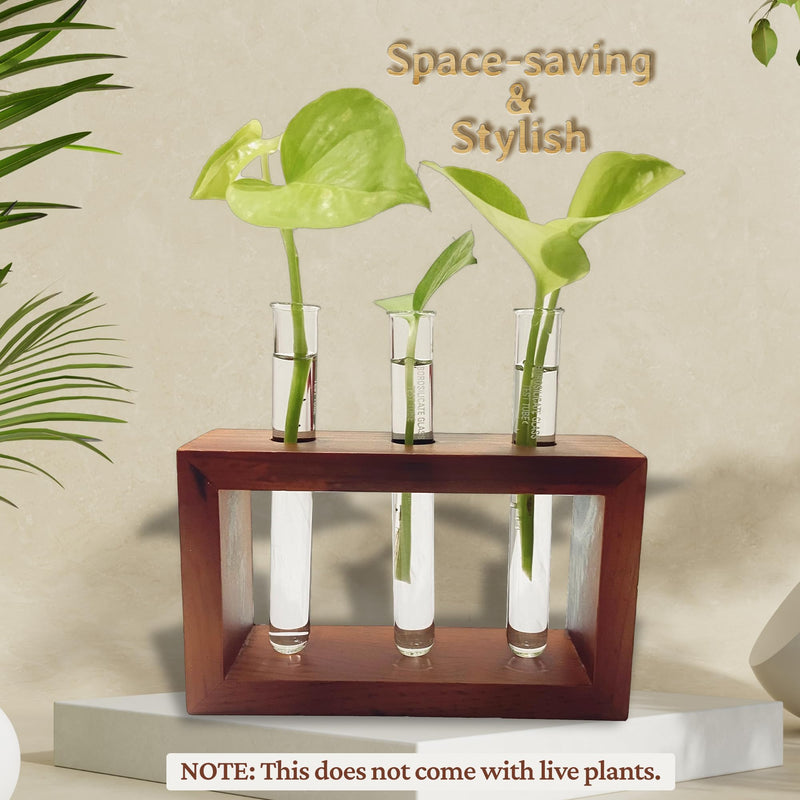 Bombay Greens Test Tube Planter for Home Decor | Wooden Plant Stand for Living Room | Money Plant Propagation | Eco Friendly Planter for Office | Planter with Test Tube and Wooden Stand