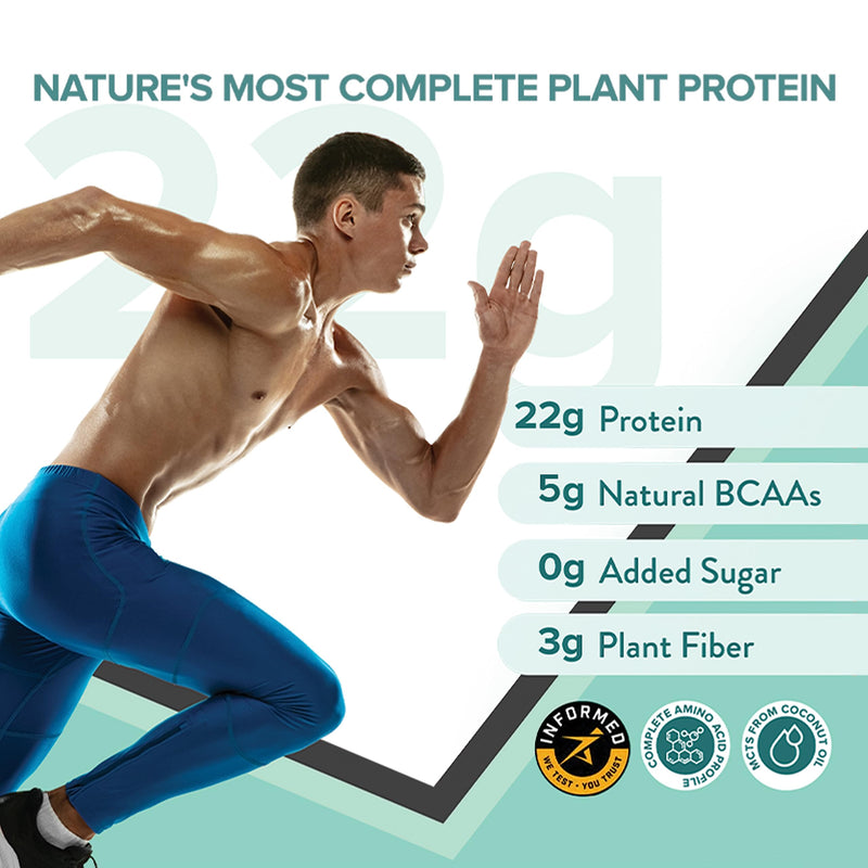 Wellbeing Nutrition Organic Vegan Plant Protein Isolate Powder | 22g Protein, 5g BCAA European Pea & Brown Rice Protein | Superfoods, Fiber for Muscle Growth & Recovery | French Vanilla - 500gm