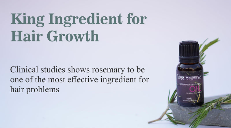 Blise organic Rosemary Essential Oil -100% pure and naturals, For Hair fall control and Hair Growth