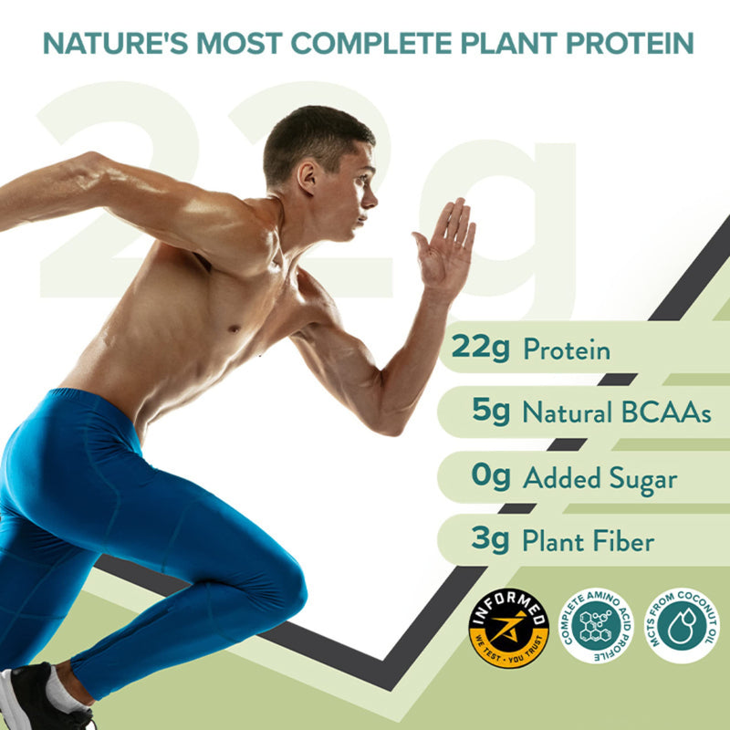 Wellbeing Nutrition Organic Vegan Plant Protein Isolate Powder | 22g Protein, 5g BCAA European Pea & Brown Rice Protein | Superfoods, Fiber for Muscle Growth & Recovery | British Banoffee Pie -500gm