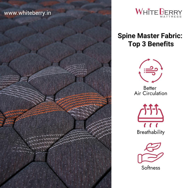 Whiteberry Spine Master 8 Inch ? Rebounded Foam Mattress / Single Memory Foam Mattress | Doctor?s Recommended, Pressure Relieving, Medium Firm, Orthopedic Mattress. Back Pain Relief (Single72"X42"X8")