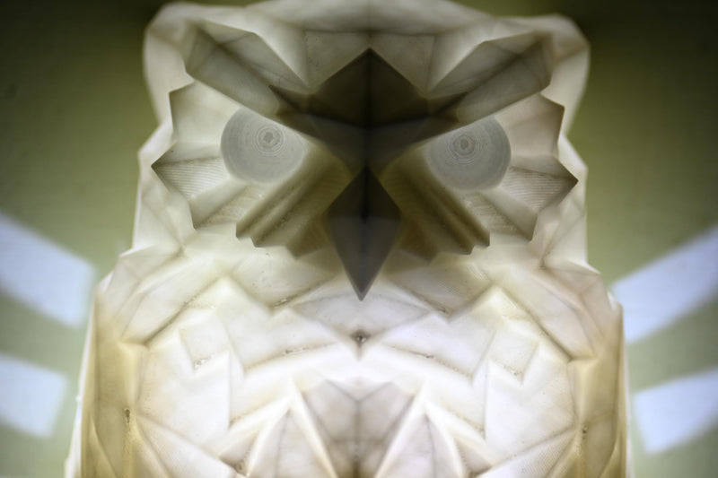 WildDreams: Dreams-Inspired OWL Night Wall Lamp (White)