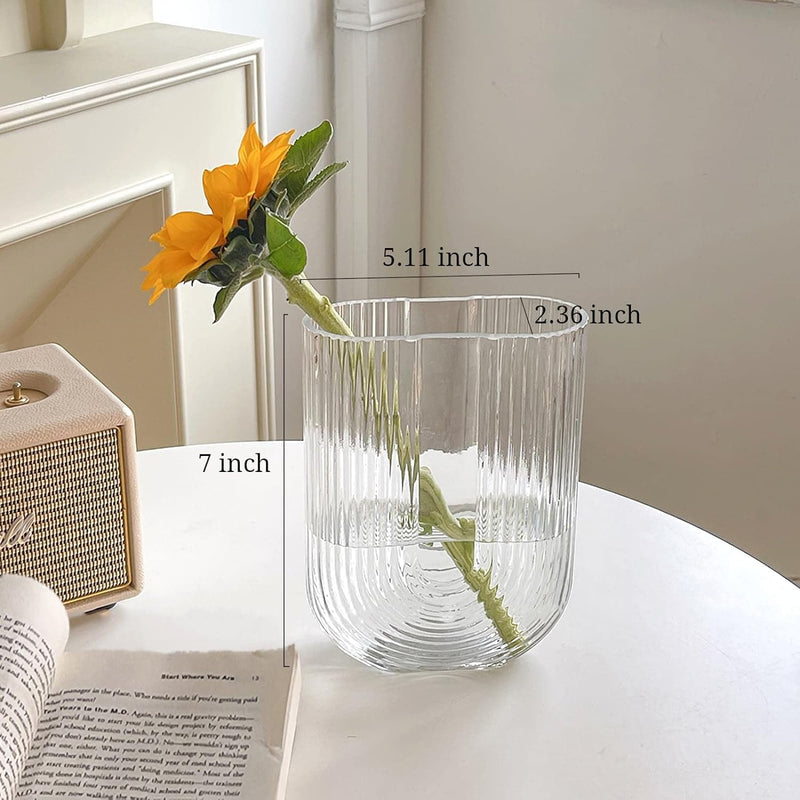 BELLU Clear Ribbed Glass Flower Vase, 7.3" H Modern Small Vase, Ellipse U Shaped Fluted Striped Decorative Vase, Fit for Home Living Room Table Decor (Open:5" x 2.6")