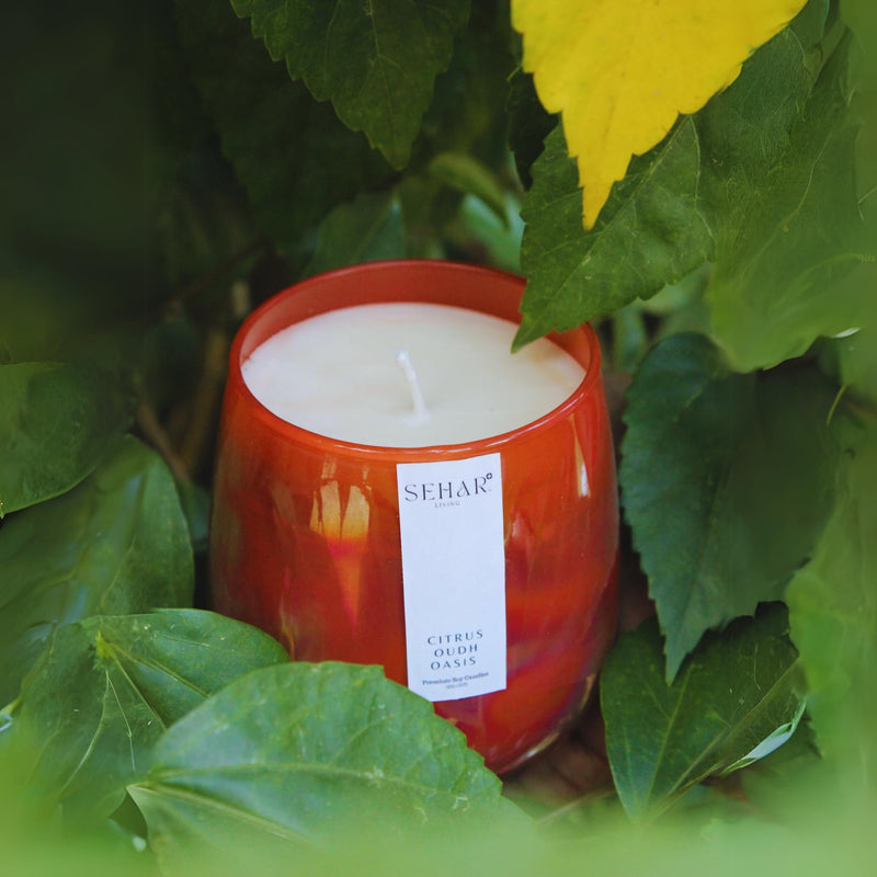 Sehar Living Citrus Oudh Oasis Luxury Soy Candle 50+ Hr Burn Time Uplifting Aromatherapy and Eco-Friendly Gift