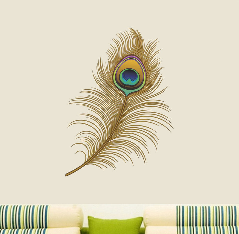 Asmi Collections Wall Stickers Beautiful Peacock Feather