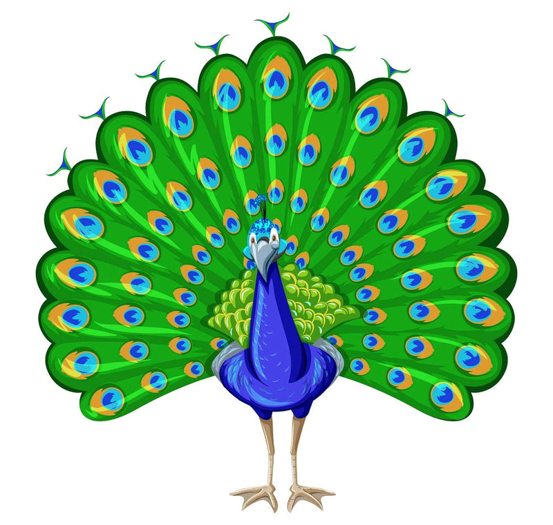 Tuffuk Beautifull Peacock Large Vinyl Wallstickers for Home Decorations(50 cm x 50 cm)4TZ074