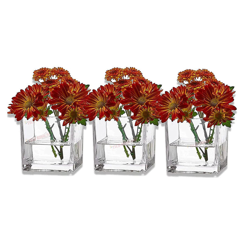 TIED RIBBONS Set of 3 Square Glass Vases for Plants Flowers Home Decor, Wedding Decoration, Without Flower (7.6 X 7.6 cm, Clear)