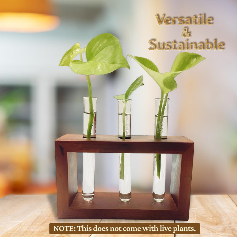 Bombay Greens Test Tube Planter for Home Decor | Wooden Plant Stand for Living Room | Money Plant Propagation | Eco Friendly Planter for Office | Planter with Test Tube and Wooden Stand