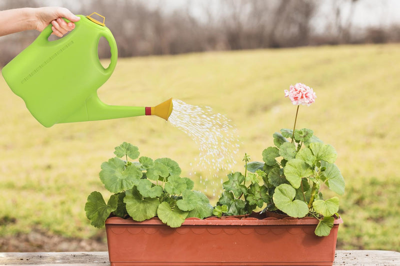 GTB Watering Can (10L) | Plastic Green Water Can with Sprayer for Plants/Garden | Indoor Outdoor Watering Shower Can | Sprinkler for Plants | Watering Hand Bottles for Garden | Water Spray Can