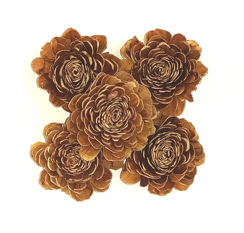 CRAFTWAFT Handmade Natural Brown Daliha Flower for Craft & Decorations 2.5 Inch Diameter Dry Flower (100)