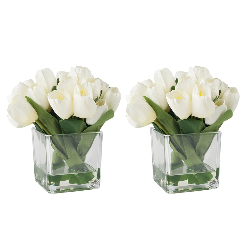 Craftfry Center Designer Glass Square Cube Glass Vase for Home Table Decor Clear Glass Vase (4x4) - Pack of 2