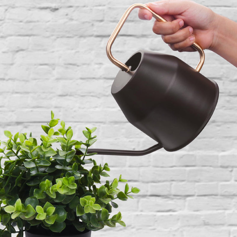 BonKaso 1 Litre Metal Watering Can Pot for Home Gardening Watering Plants & Flower, Stylish Long Spout Handle (Brown- 1 Liter)