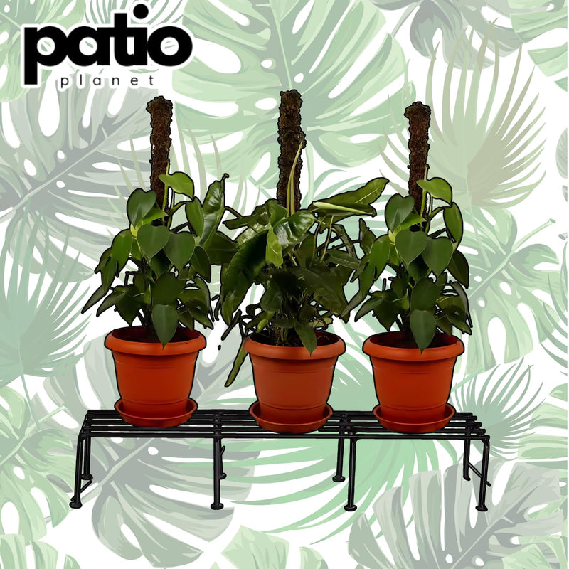 Patio Planet Anti Rust Metal Plant Stand for balcony (Set of 4 Black) | Planter stand for living room - 24 inches | Pot stand for outdoor & Indoor plants