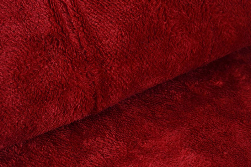 GoHome Double Bed Heating Electric Blanket With Two Controller Coral Fleece (150X150Cm)Red