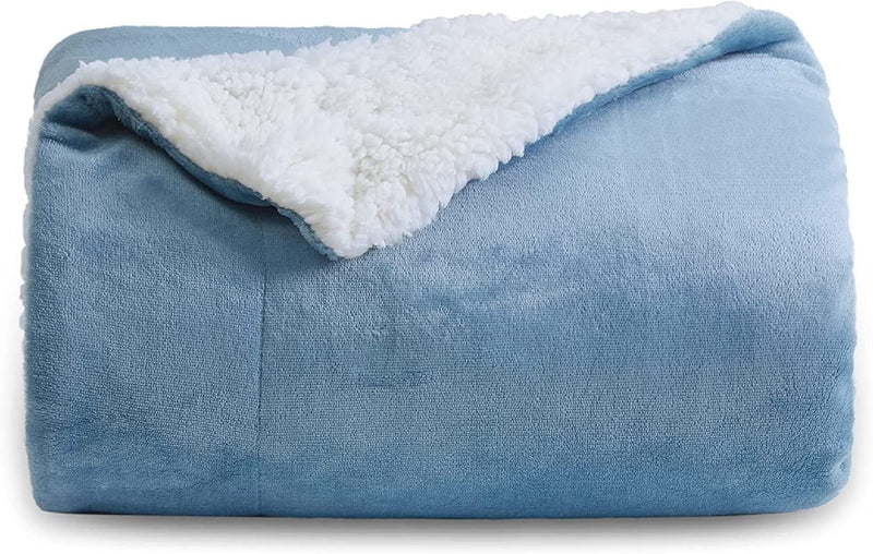 BSB HOME Sherpa Fleece Blanket Double Size Winter Super Soft Extra Warmest and Heavy Thick Winter 500Gsm Bed Blankets for Couch Sofa Bed, 90" X 90" (Aqua), 300 tc