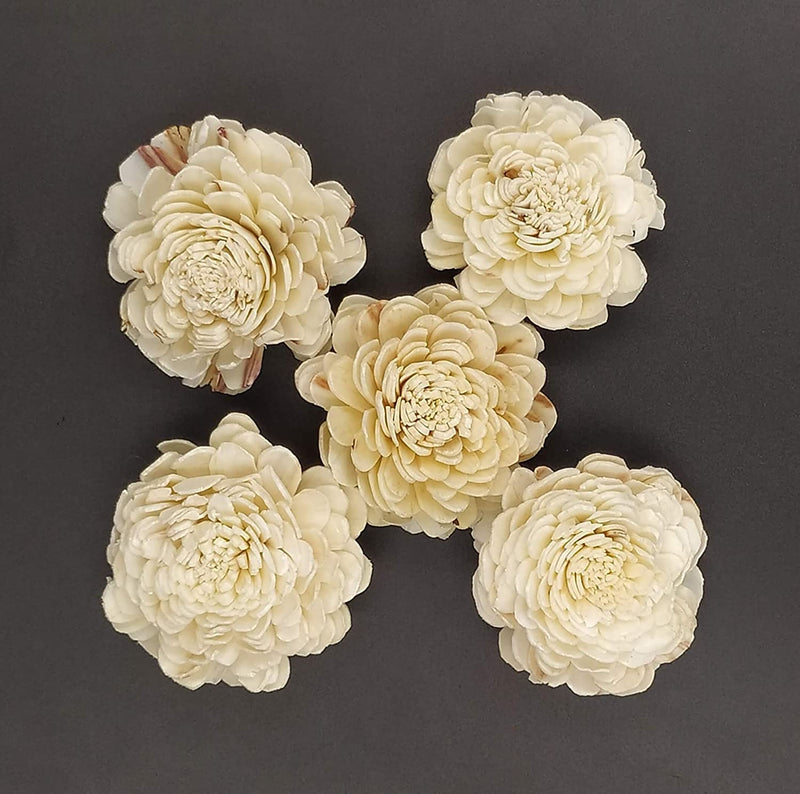 CRAFTWAFT Handmade Natural White Loose Solapit Small Flower for Craft & Decorations 1 Inch Diameter (500)