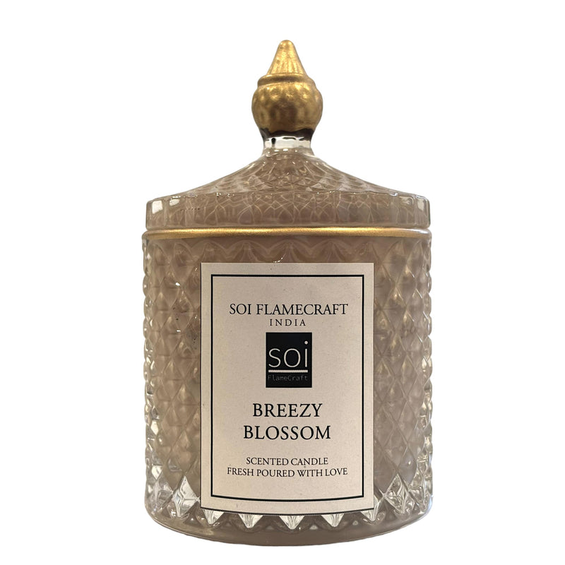 Soi Flamecraft Light Grey Candy Jar Scented Candle | Breezy Blossom Fragrance | Soy Wax Candle | 45 hrs Long-Lasting Aroma | Ideal for Home Decor & Gifting | 630 Grams