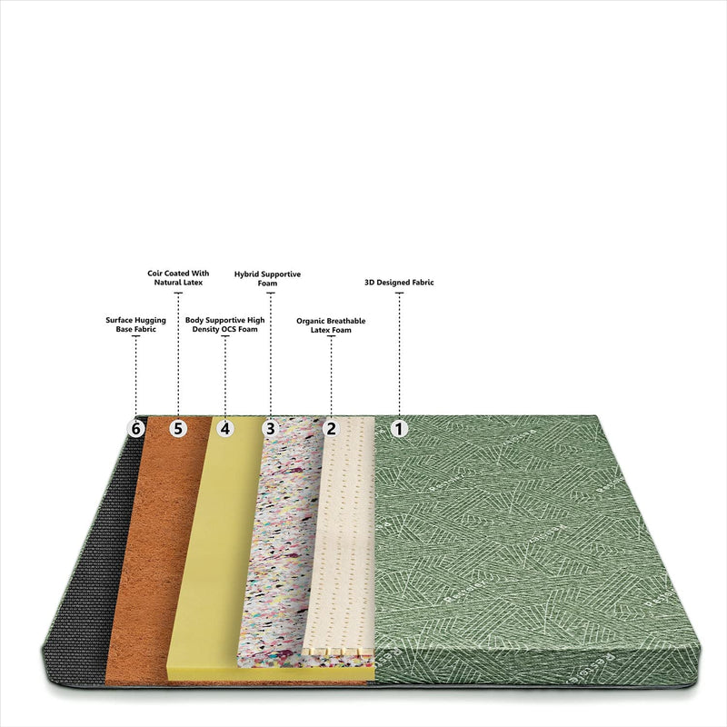 Restolex Restopedic Natural Latex Coir-Natural Latex Coir-Green-84 x 48 x 5 INCHES