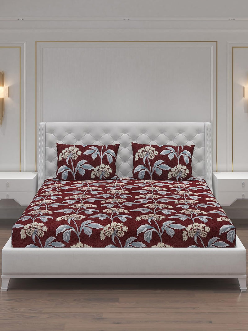 MOCA by Monte Carlo 120 TC Queen Size 2 Bedsheet with 4 Pillow Cover Set (23BS-DAZZLE-61)