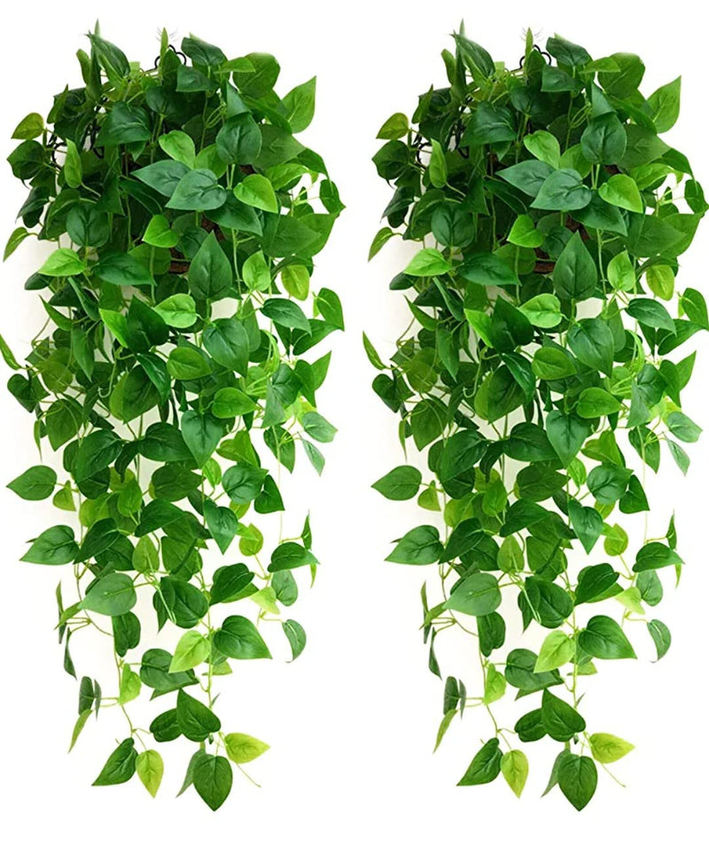 VRB Dec Plastic Tm Artificial Greenery Ferns Plants Vines Fake Ivy Hanging Flowers Vine Pine Needle Wall Hanging For Home Door Wall Balcony Decoration Party Festival Craft (Money Plant Hanging, 2)