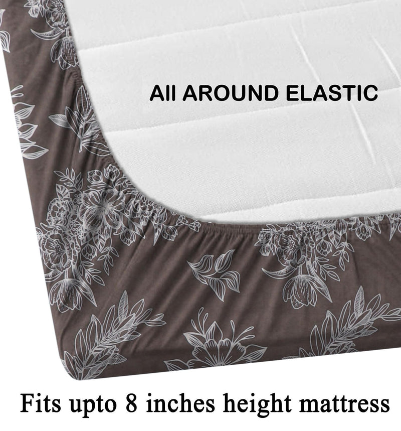 CRAFTS HUB Cotton Feel Glace Cotton All Around Elastic Fitted Printed King Size Double Bed Bedsheet with 2 Pillow Covers(72x78x8 Inch) Fits Upto Mattress of 8 Inches | Coffee (1647FITTED-Coffee)